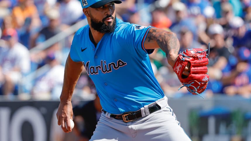 Sandy Alcantara, Mets
