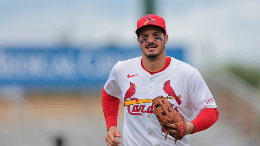 MLB: Spring Training-New York Mets at St. Louis Cardinals, yankees