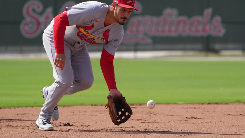 MLB: St. Louis Caridnals-Workouts, yankees