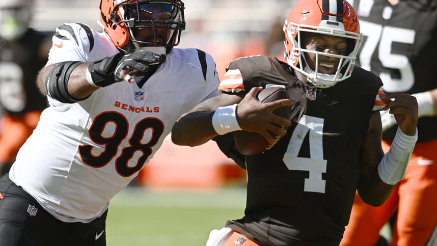 Sheldon Rankins, Bengals, Giants