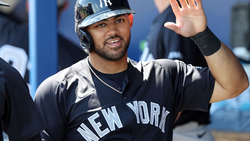 MLB: Spring Training-New York Yankees at Tampa Bay Rays, jasson dominguez