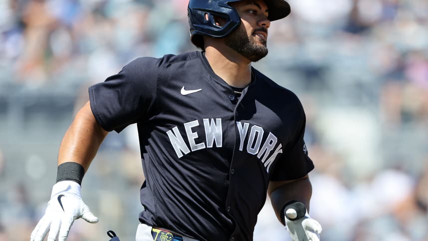 MLB: Spring Training-New York Yankees at Tampa Bay Rays, jasson dominguez