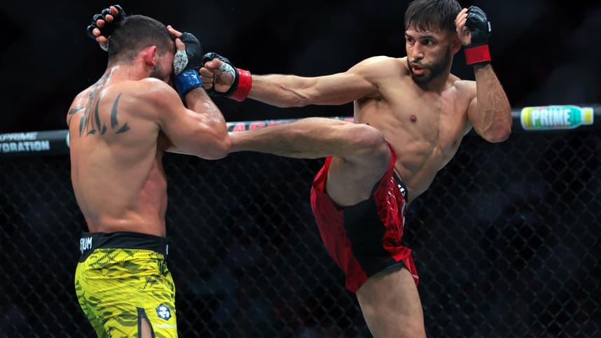MMA: UFC 314 - Rodriguez vs Pitbull
