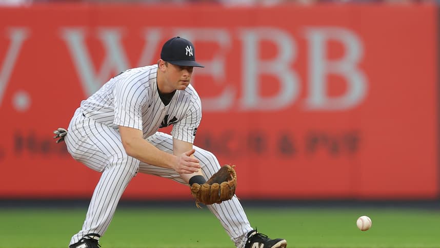 MLB: Los Angeles Angels at New York Yankees, dj lemahieu