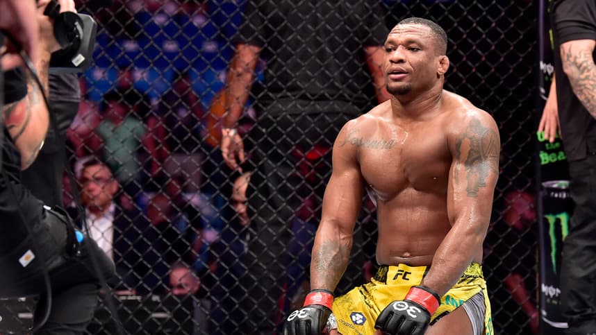 MMA: UFC Fight Night - Sao Paulo- Almeida vs Lewis
