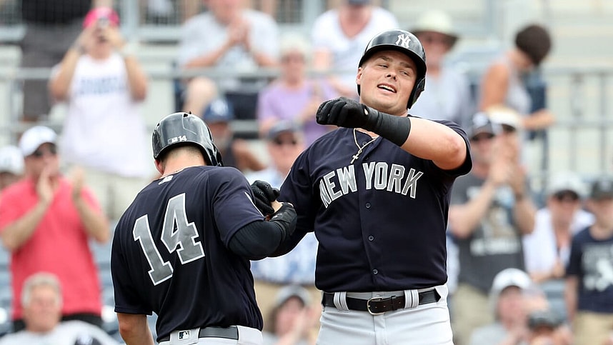 New York Yankees, Luke Voit