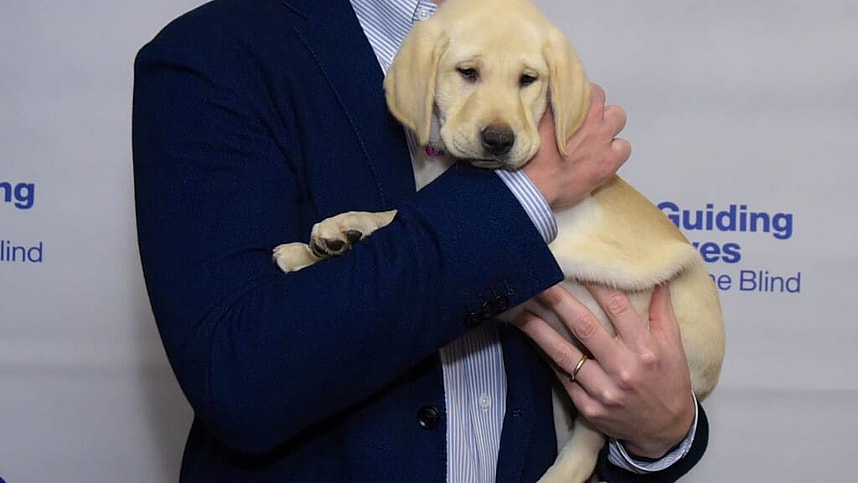 New York Giants, Eli Manning