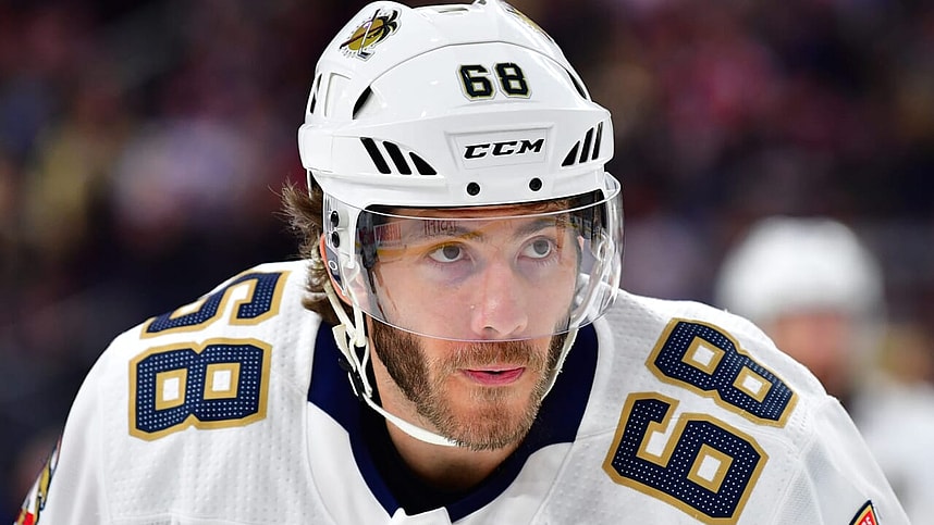 New York Islanders, Mike Hoffman