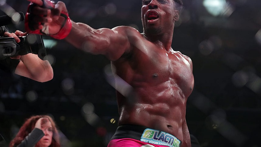 Phil Davis, MMA, UFC