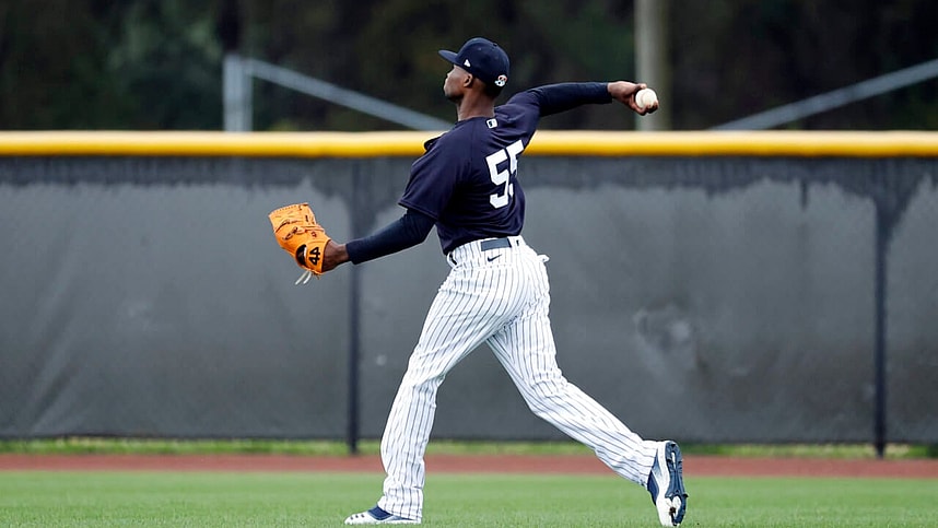 New York Yankees, Domingo German