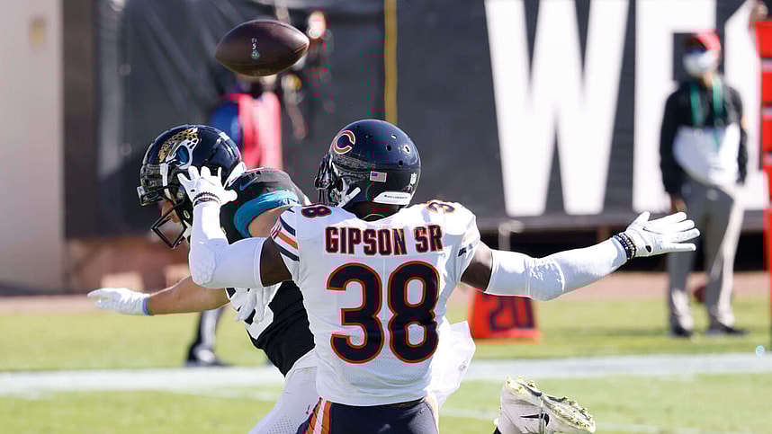 Tashaun Gipson, bears