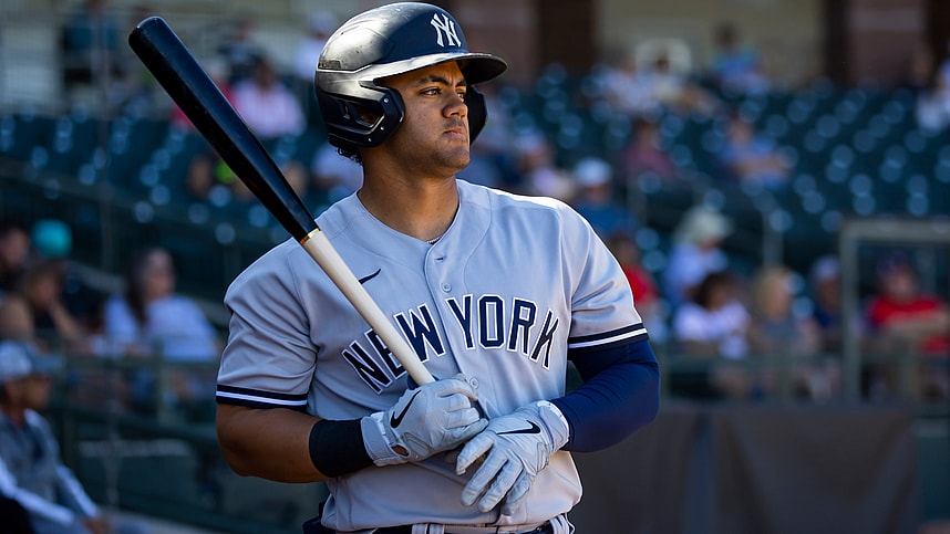 jasson dominguez, yankees