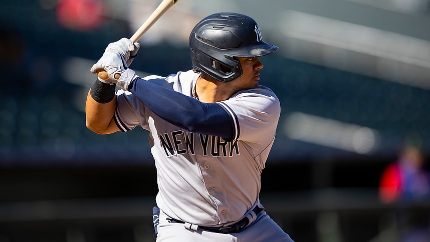 jasson dominguez, yankees