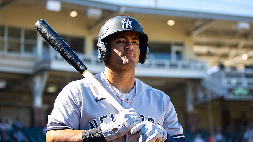 jasson dominguez, yankees