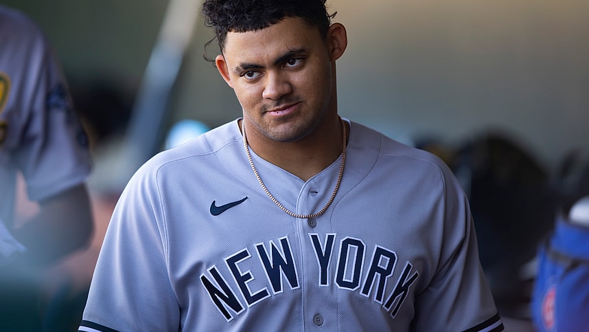 jasson dominguez, yankees