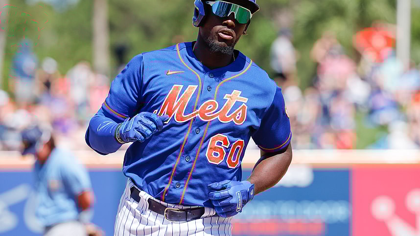 MLB: Spring Training-Tampa Bay Rays at New York Mets