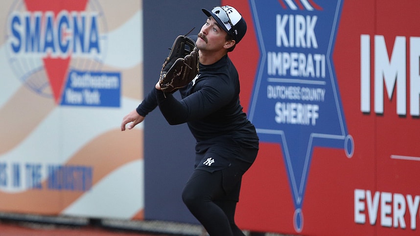 aaron palensky, yankees