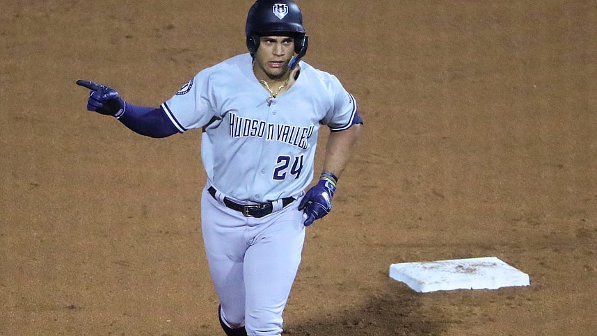 Syndication: Wilmington News Journal, agustin ramirez, yankees