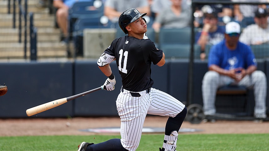 MLB: Spring Training-Toronto Blue Jays at New York Yankees