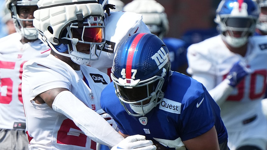 Syndication: The Record, theo johnson, new york giants