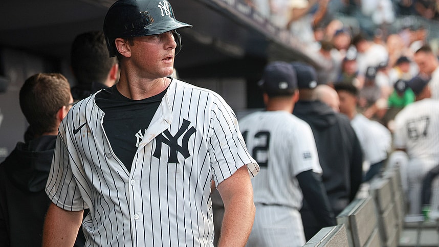 MLB: Toronto Blue Jays at New York Yankees, dj lemahieu