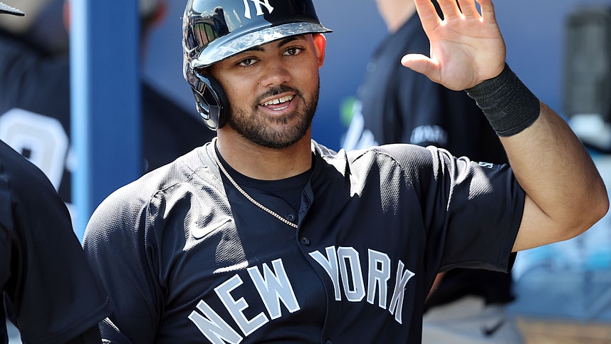MLB: Spring Training-New York Yankees at Tampa Bay Rays, jasson dominguez
