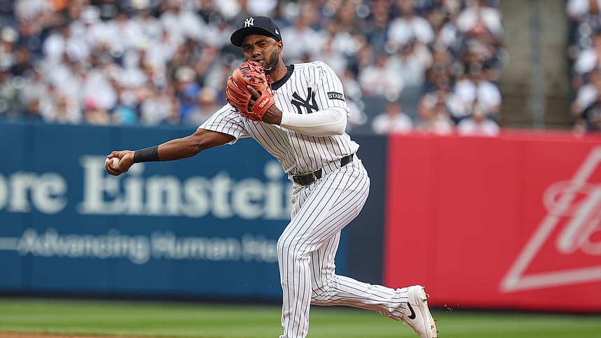 MLB: Tampa Bay Rays at New York Yankees, pablo reyes