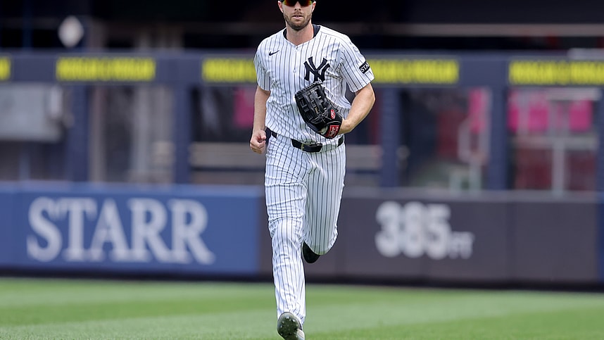 MLB: Tampa Bay Rays at New York Yankees, austin slater