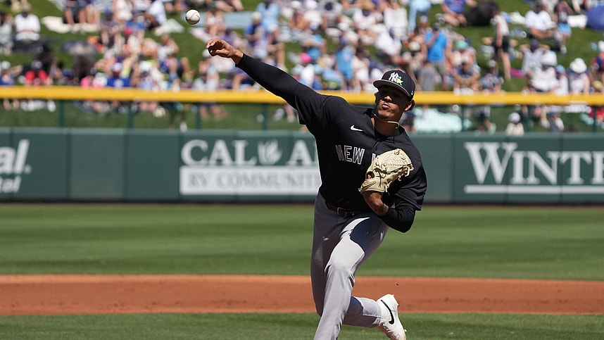 MLB: Spring Training-New York Yankees at Chicago Cubs, carlos lagrange