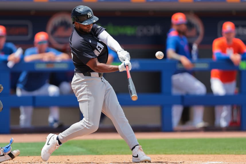 MLB: Spring Training-New York Yankees at New York Mets, pablo reyes