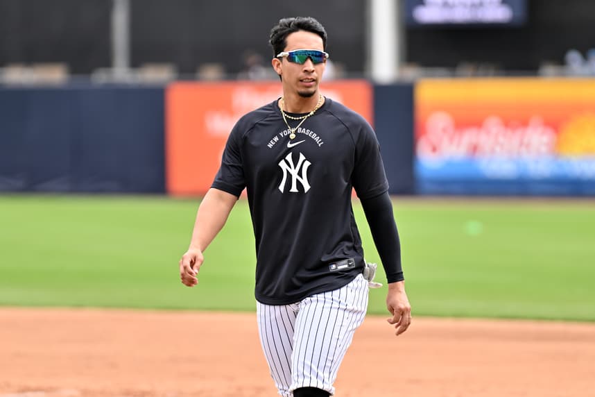 MLB: New York Yankees-Workouts