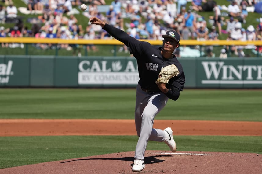 MLB: Spring Training-New York Yankees at Chicago Cubs, carlos lagrange