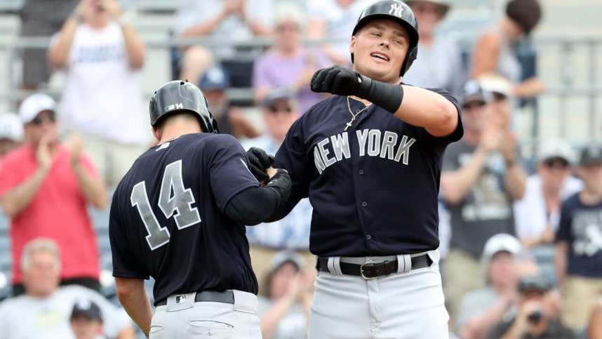 New York Yankees, Luke Voit