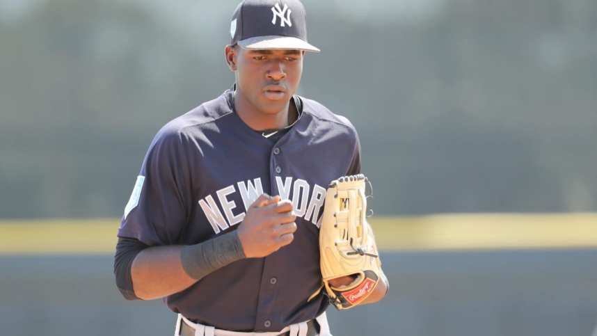 New York Yankees, Estevan Florial