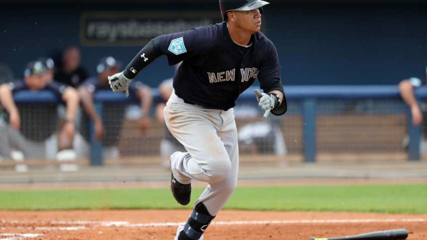 New York Yankees, Thairo Estrada