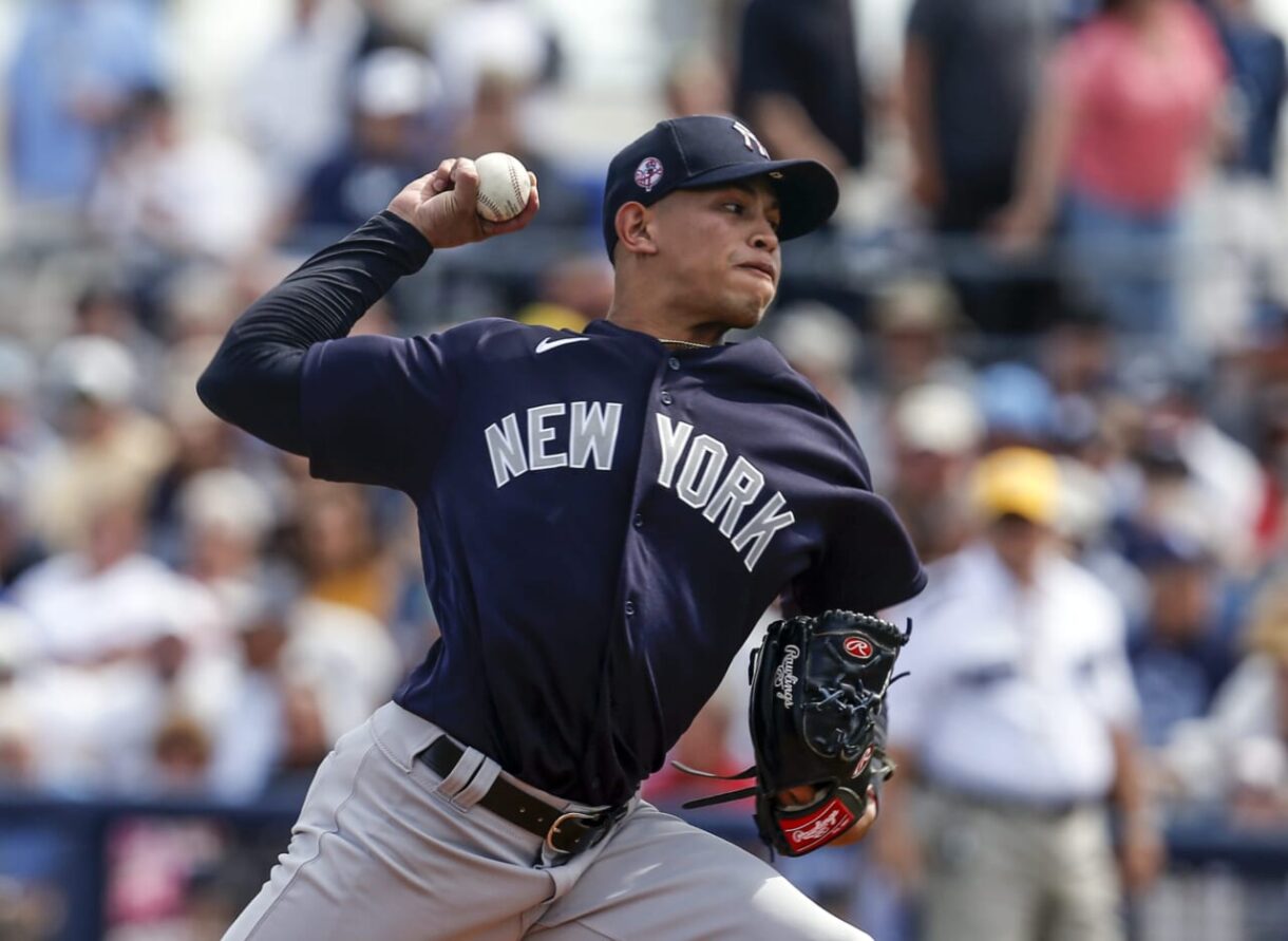 New York Yankees, Jonathan Loaisiga