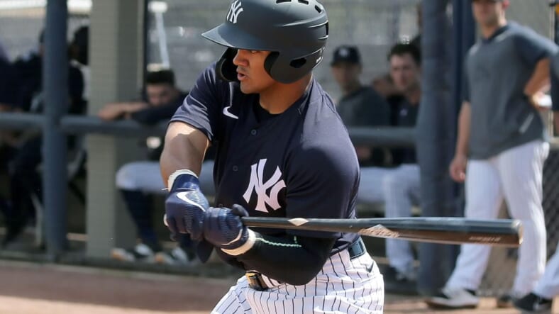 New York Yankees, Jasson Dominguez