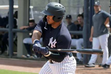 New York Yankees, Jasson Dominguez