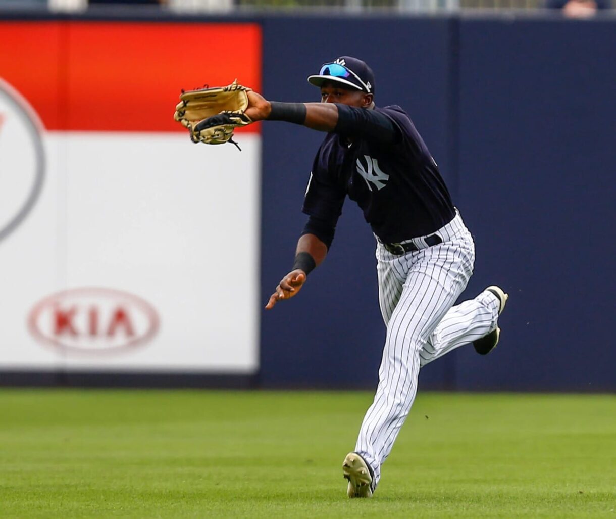 New York Yankees, Estevan Florial