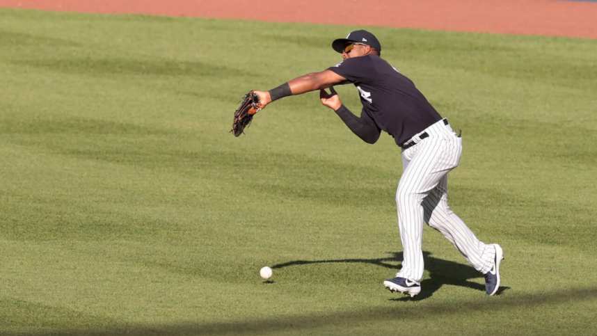 New York Yankees, Miguel Andujar