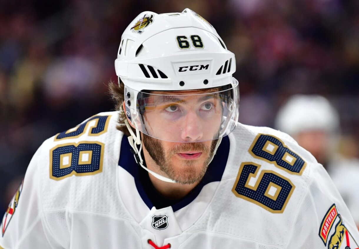 New York Islanders, Mike Hoffman