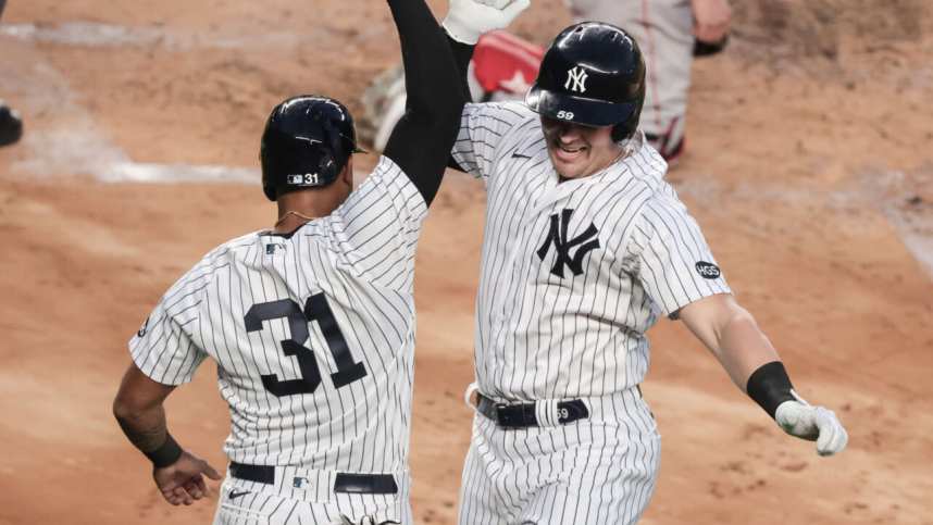 New York Yankees, Aaron Hicks, Luke Voit