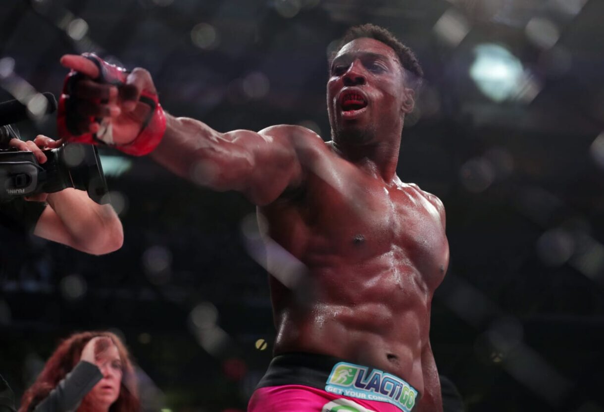 Phil Davis, MMA, UFC