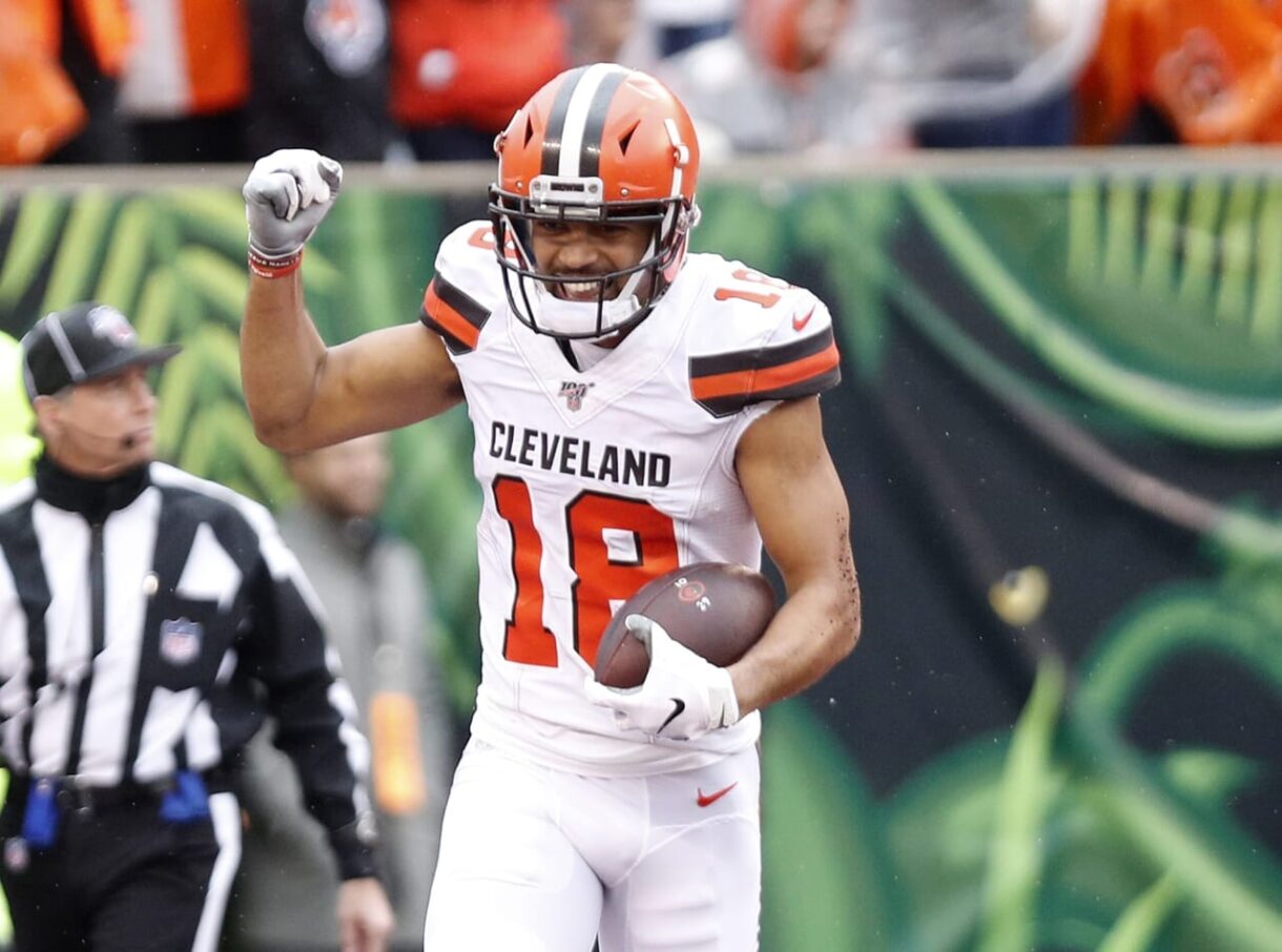 New York Giants, Damion Ratley