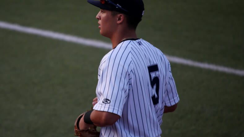 anthony volpe, yankees
