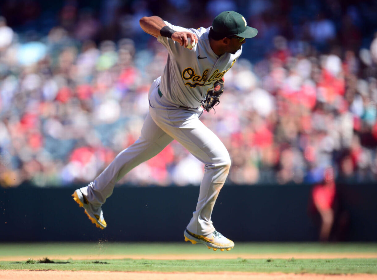 alvis andrus, yankees