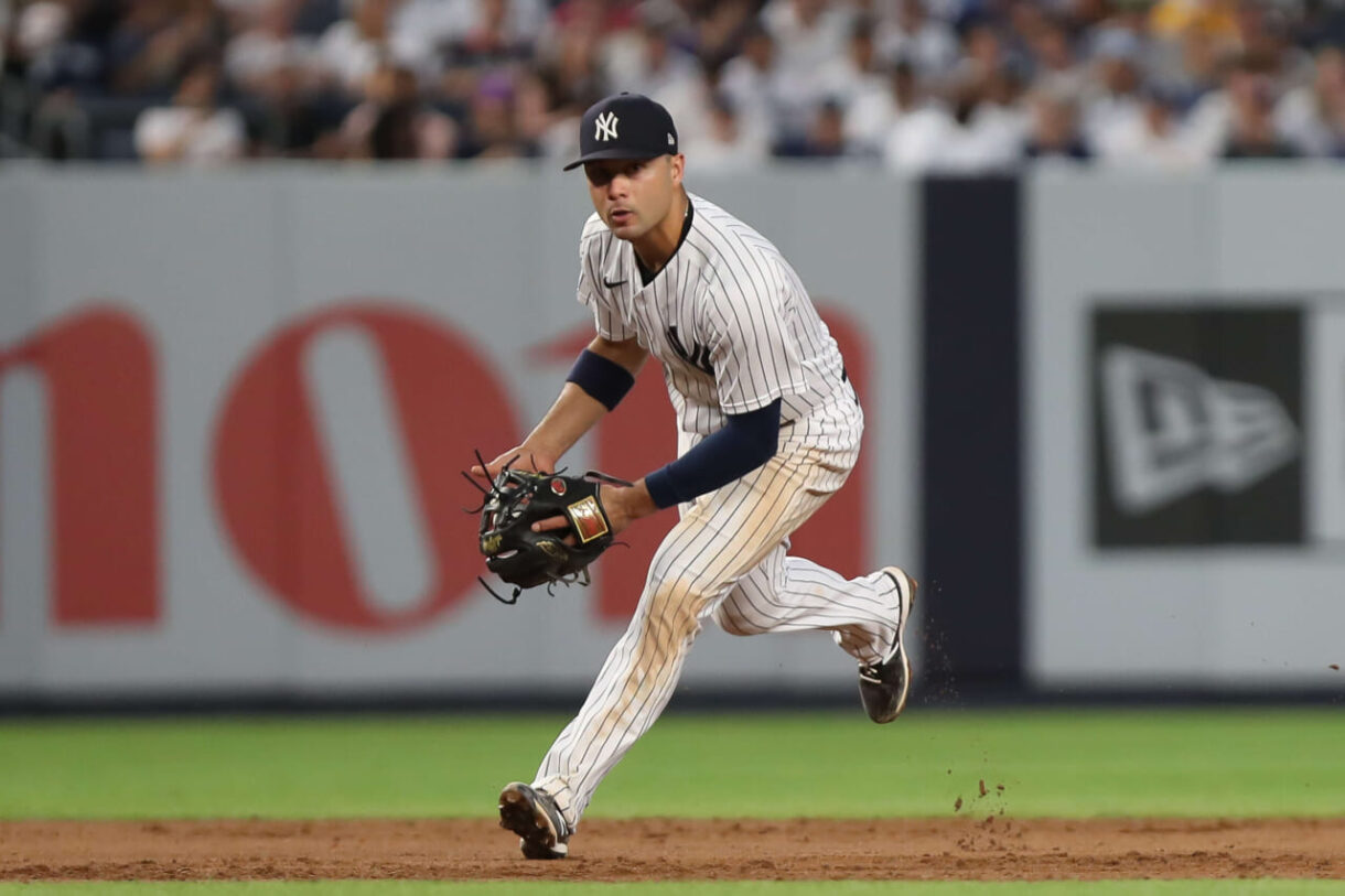 isiah kiner-falefa, yankees