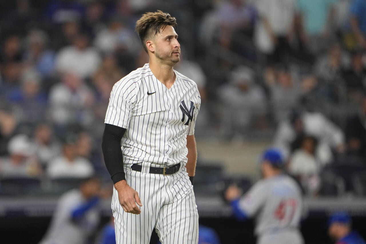 New York Porch Sports on X: Call him Dr. Joey Gallo! The Yankees slugger  just received a doctorate in Veterinary Medicine and will split his time  mashing baseballs with treating rare New