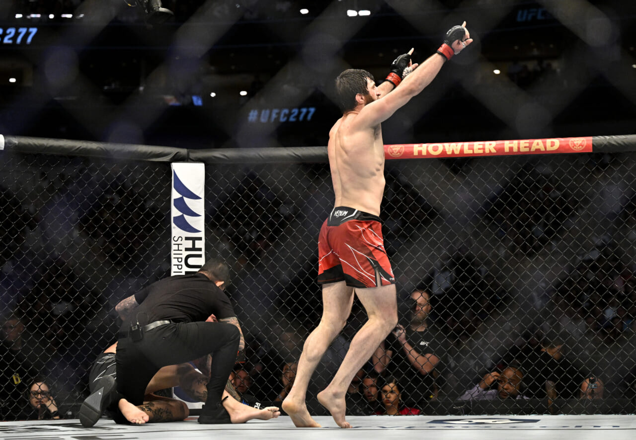 After huge knockout at UFC Vegas 84, what’s next for Magomed Ankalaev?