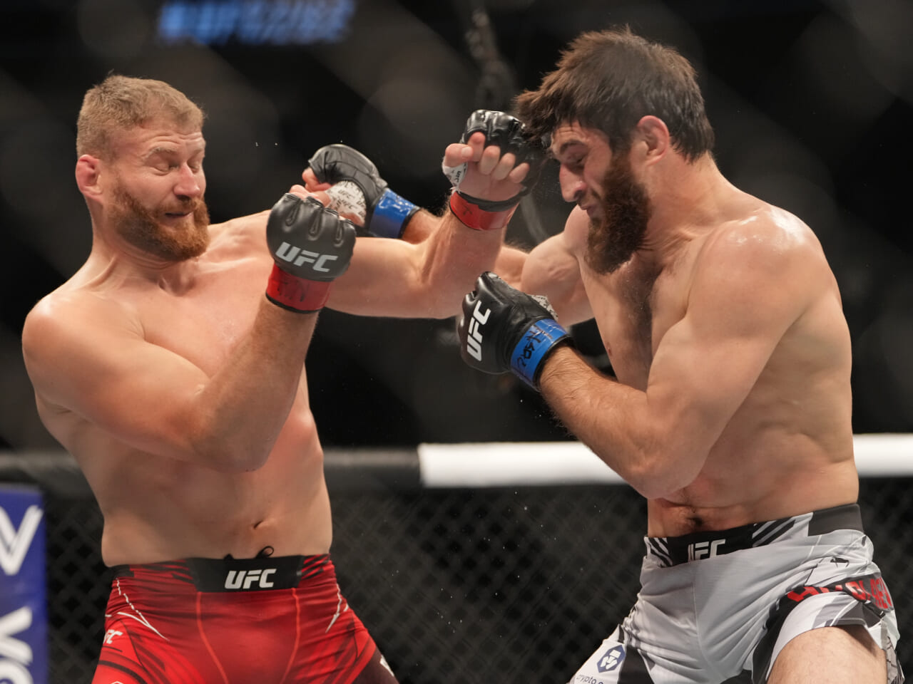 Should Jan Blachowicz and Magomed Ankalaev run it back after UFC 282?